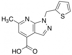 6-Methyl-1-(thiophen-2-ylmethyl)-1H-pyrazolo[3,4-b]pyridine-4-carboxylic Acid