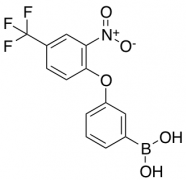 (3-(2-Nitro-4-(trifluoromethyl)phenoxy)phenyl)boronic Acid